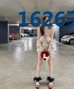 1626天启惊变