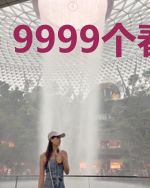 9999个春夏