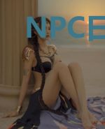 NPC日常